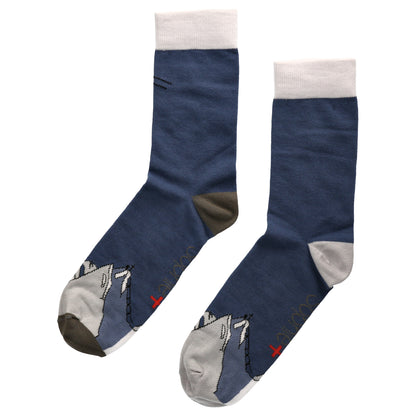 Socken Waxenstein