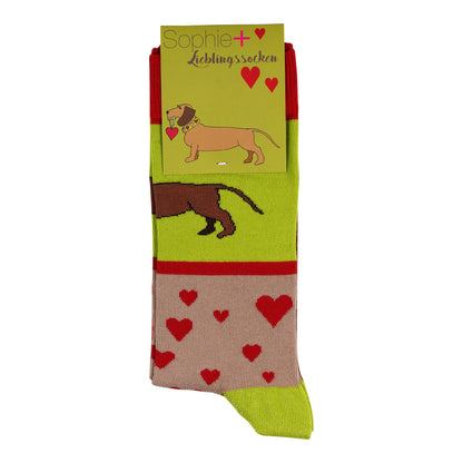 Socks dachshund 