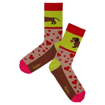 Socks dachshund 